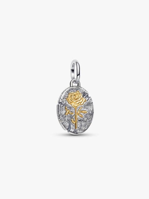 Charm Pandora Medallion