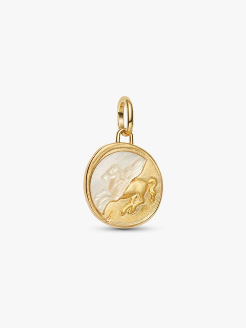 Charm Pandora Medallion